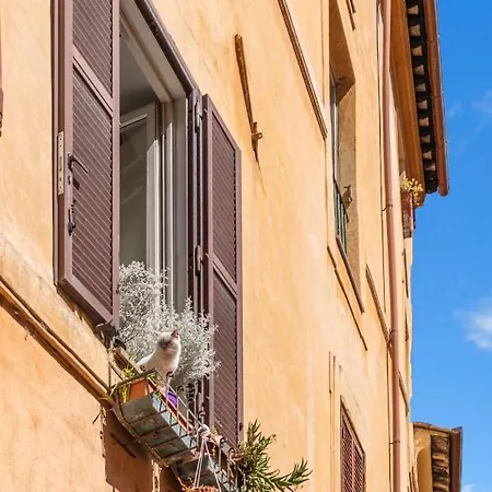 R.c. Cappellari Loft Campo De' Fiori Daire Roma